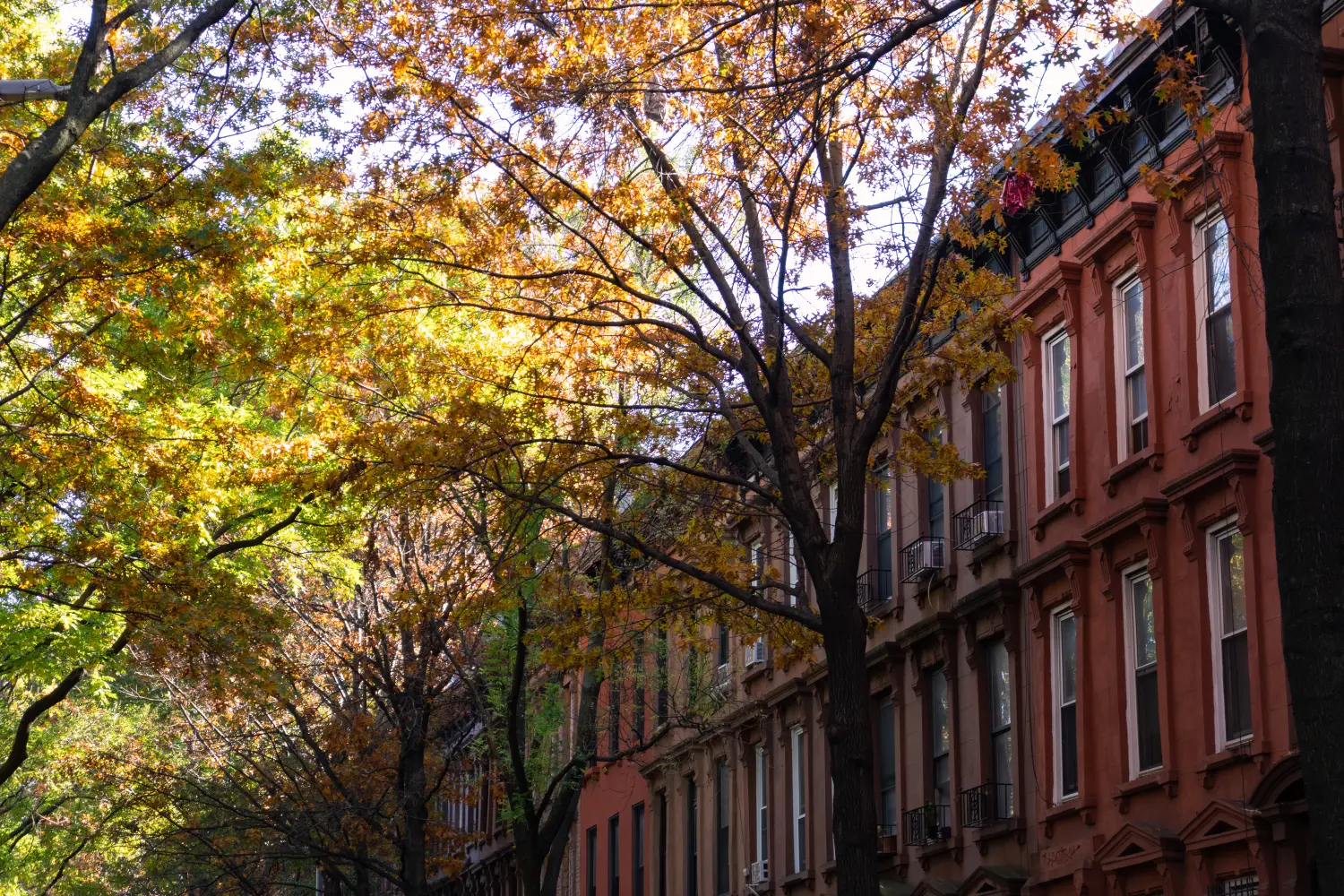 Reihe von bunten alten Brownstone-Häusern in Park Slope, Brooklyn, New York mit Bäumen im Herbst